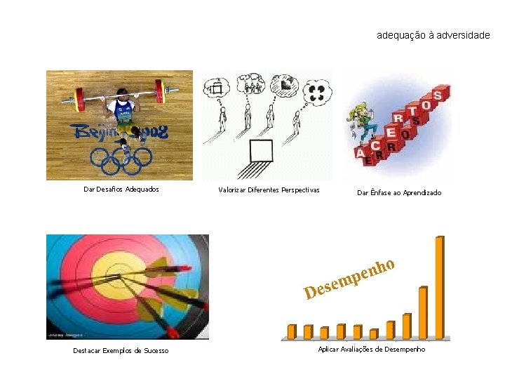 adequação à adversidade Dar Desafios Adequados Destacar Exemplos de Sucesso Valorizar Diferentes Perspectivas Dar