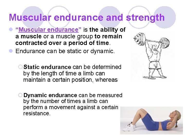 Muscular endurance and strength l “Muscular endurance” is the ability of a muscle or