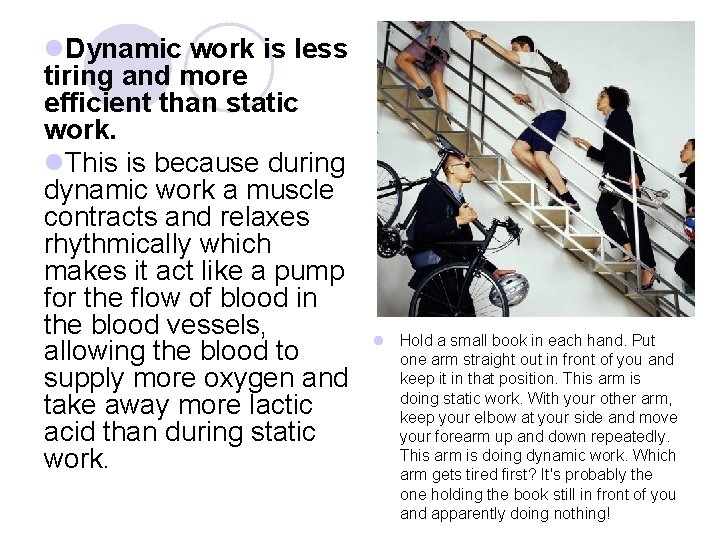 l. Dynamic work is less tiring and more efficient than static work. l. This