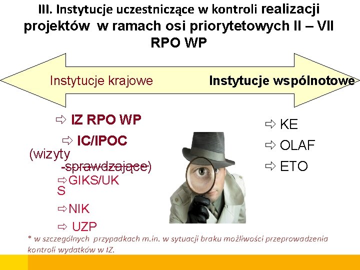 III. Instytucje uczestniczące w kontroli realizacji projektów w ramach osi priorytetowych II – VII