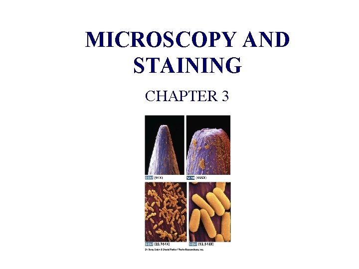 MICROSCOPY AND STAINING CHAPTER 3 