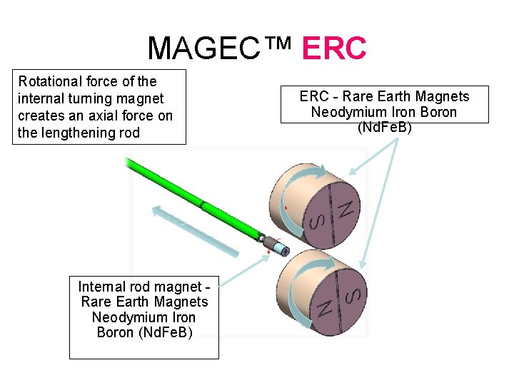MAGEC™ ERC Rotational force of the internal turning magnet creates an axial force on MAGEC™ ERC Rotational force of the internal turning magnet creates an axial force on