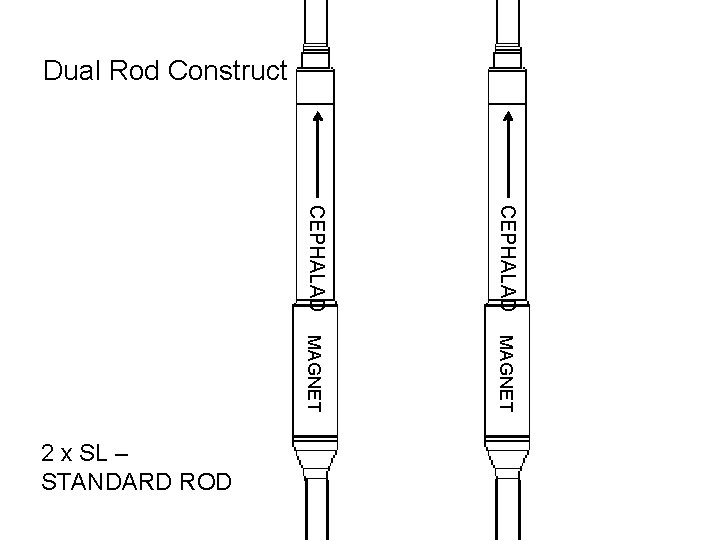 Dual Rod Construct CEPHALAD MAGNET 2 x SL – STANDARD ROD Dual Rod Construct CEPHALAD MAGNET 2 x SL – STANDARD ROD