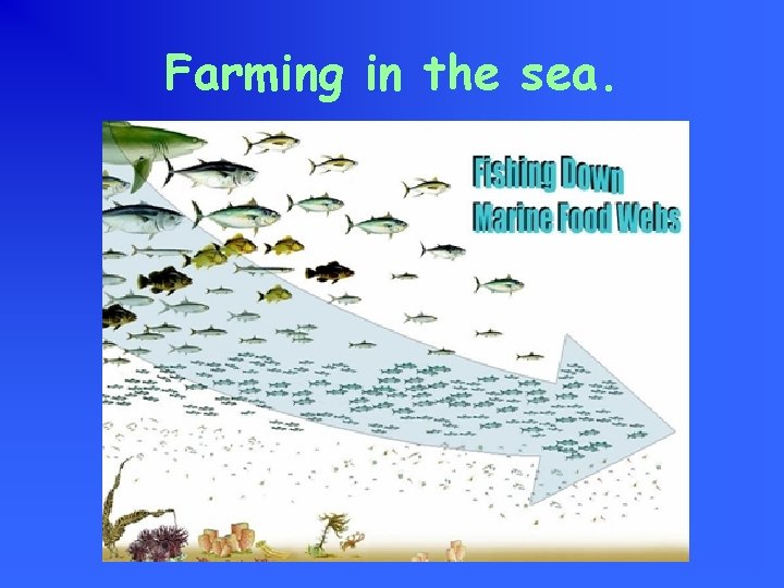 Farming in the sea. 