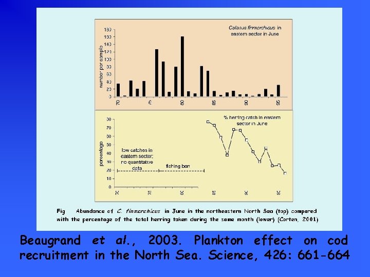 Beaugrand et al. , 2003. Plankton effect on cod recruitment in the North Sea.