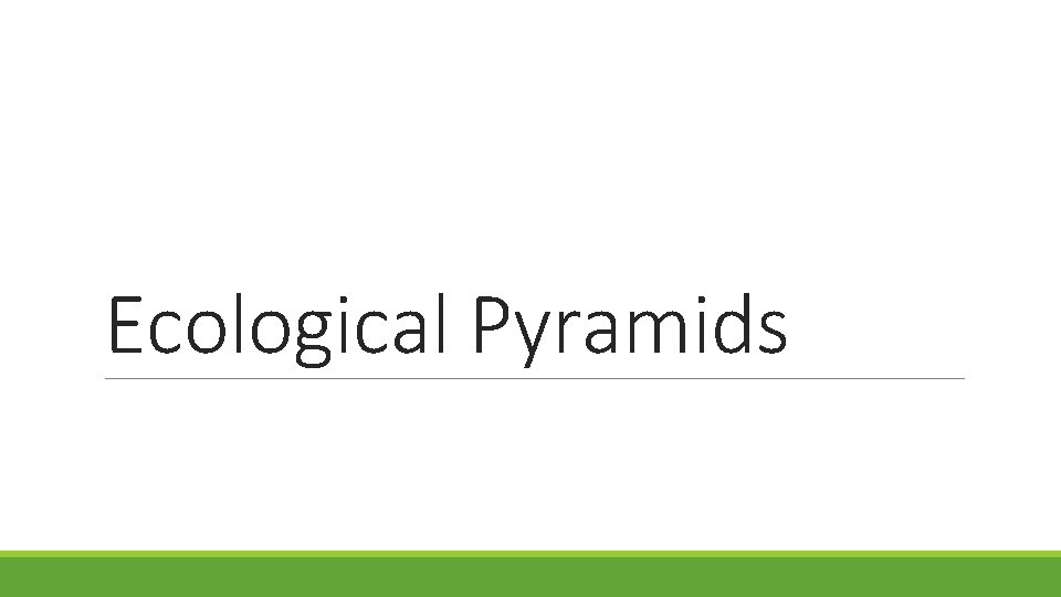 Ecological Pyramids 