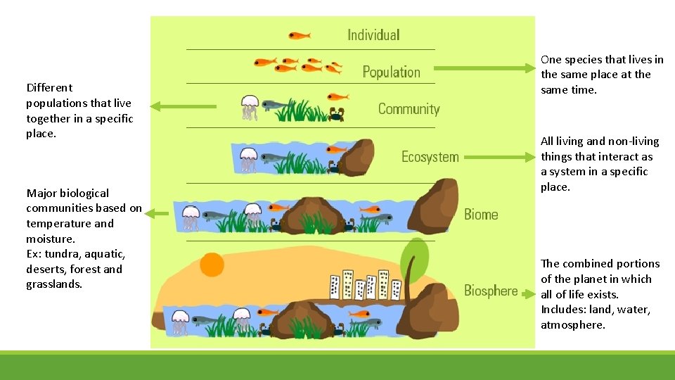 Different populations that live together in a specific place. Major biological communities based on