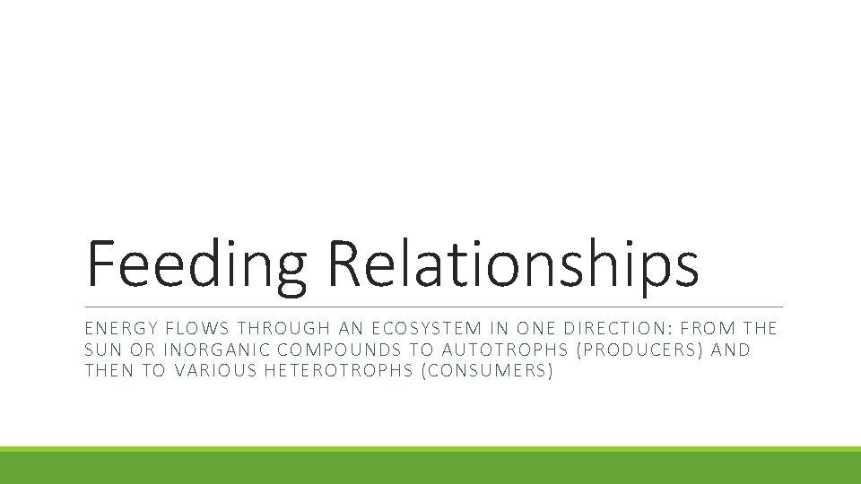 Feeding Relationships ENERGY FLOWS THROUGH AN ECOSYSTEM IN ONE DIRECTION: FROM THE SUN OR