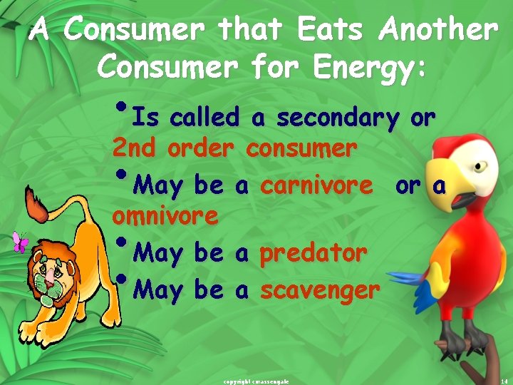 A Consumer that Eats Another Consumer for Energy: • Is called a secondary or