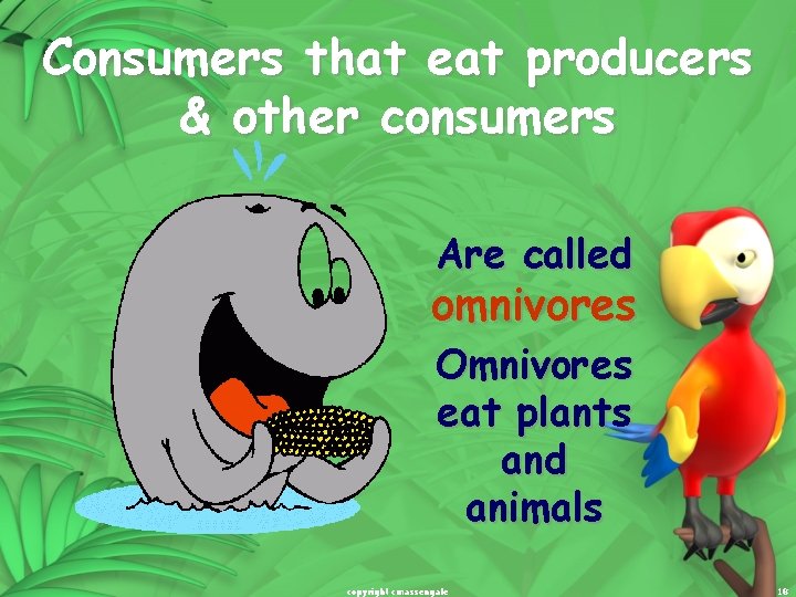 Consumers that eat producers & other consumers Are called omnivores Omnivores eat plants and