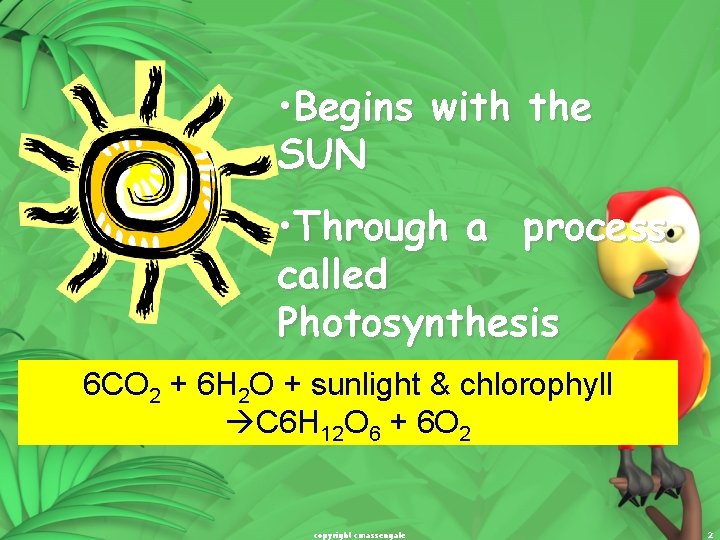  • Begins with the SUN • Through a process called Photosynthesis 6 CO