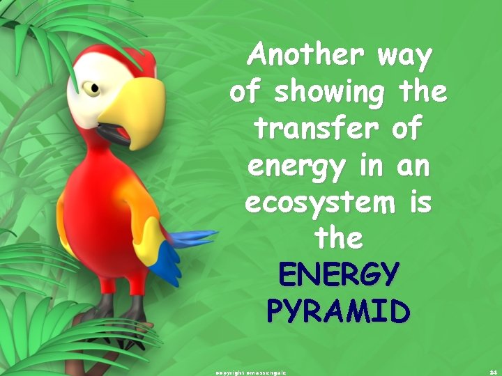 Another way of showing the transfer of energy in an ecosystem is the ENERGY