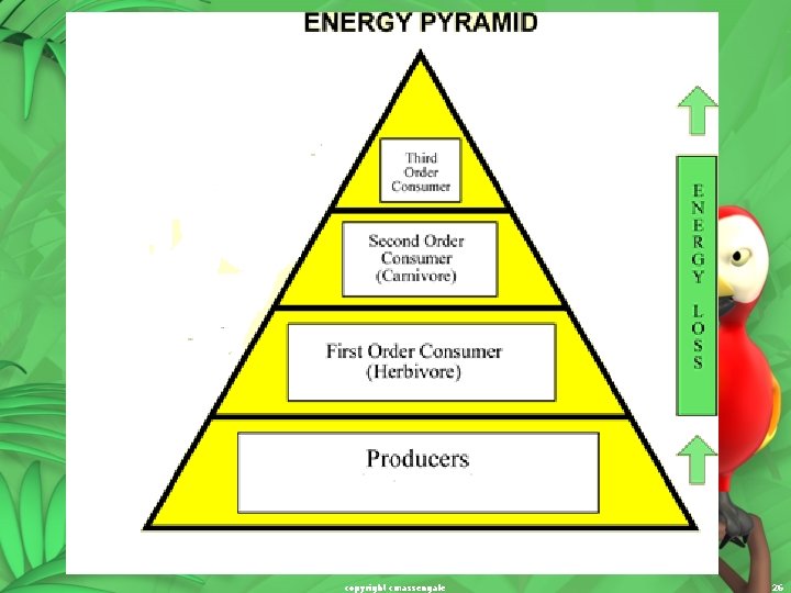 copyright cmassengale 26 