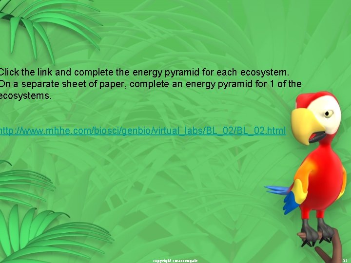 Click the link and complete the energy pyramid for each ecosystem. On a separate