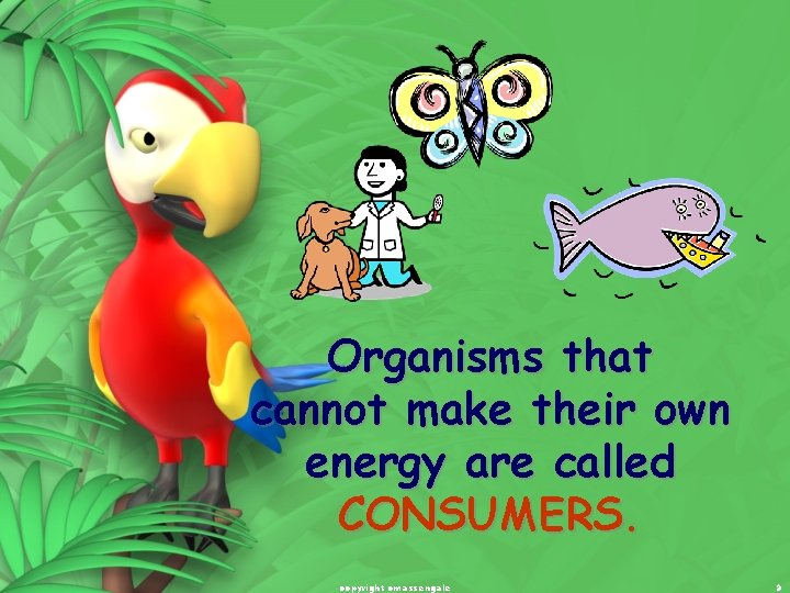 Organisms that cannot make their own energy are called CONSUMERS. copyright cmassengale 9 