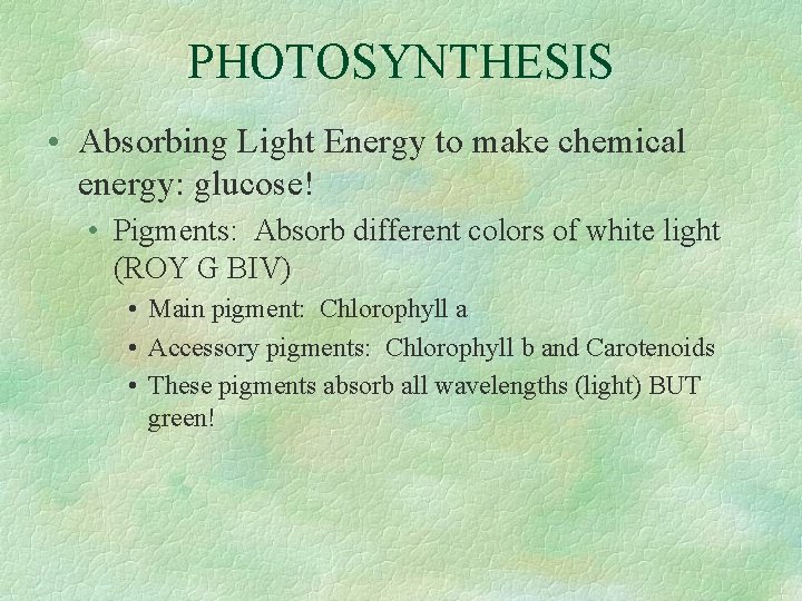 PHOTOSYNTHESIS • Absorbing Light Energy to make chemical energy: glucose! • Pigments: Absorb different