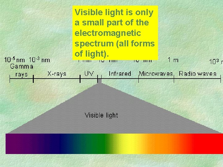 Visible light is only a small part of the electromagnetic spectrum (all forms of