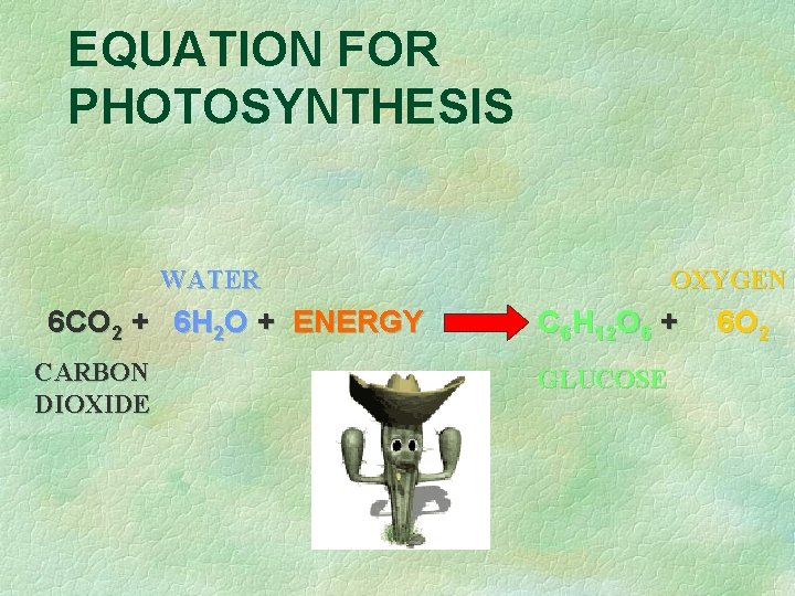 EQUATION FOR PHOTOSYNTHESIS WATER 6 CO 2 + 6 H 2 O + ENERGY