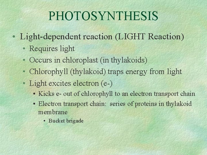 PHOTOSYNTHESIS • Light-dependent reaction (LIGHT Reaction) • • Requires light Occurs in chloroplast (in