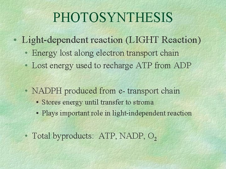 PHOTOSYNTHESIS • Light-dependent reaction (LIGHT Reaction) • Energy lost along electron transport chain •