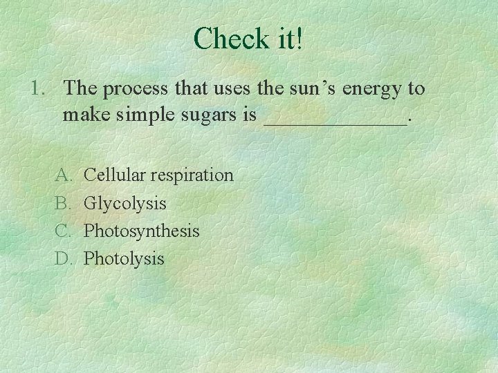 Check it! 1. The process that uses the sun’s energy to make simple sugars