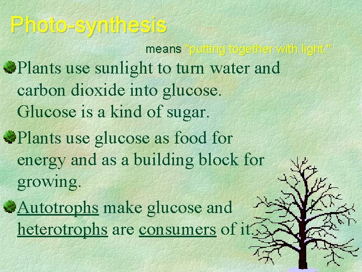 Photo-synthesis means "putting together with light. " Plants use sunlight to turn water and