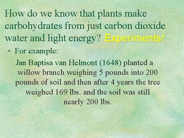 How do we know that plants make carbohydrates from just carbon dioxide water and