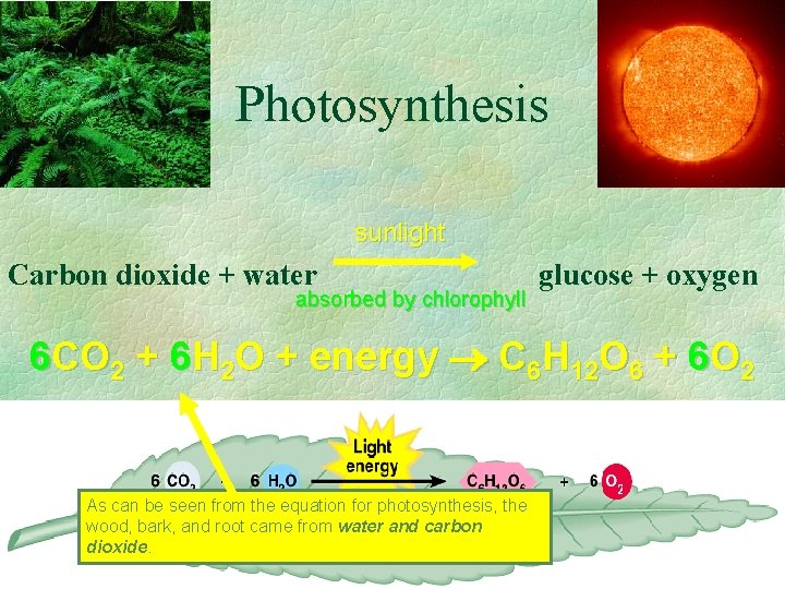 Photosynthesis sunlight Carbon dioxide + water absorbed by chlorophyll glucose + oxygen 6 CO