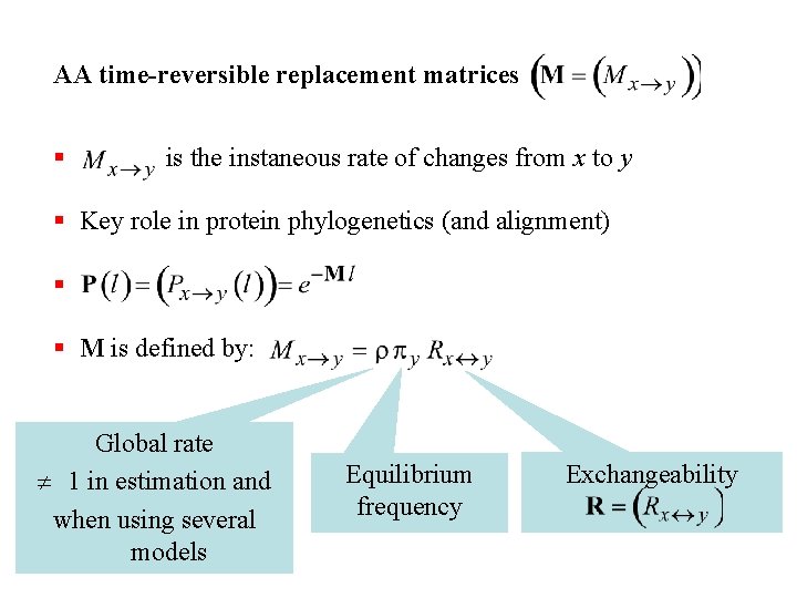 AA time-reversible replacement matrices § is the instaneous rate of changes from x to