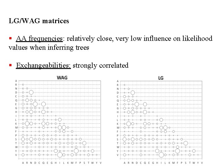 LG/WAG matrices § AA frequencies: relatively close, very low influence on likelihood values when