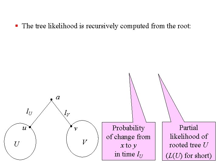 § The tree likelihood is recursively computed from the root: a l. U u