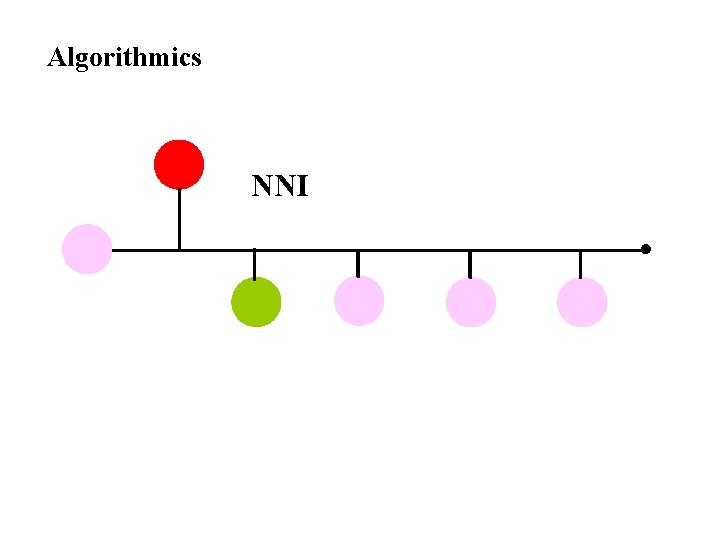 Algorithmics NNI 