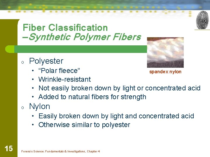 Fiber Classification —Synthetic Polymer Fibers o Polyester • • o “Polar fleece” spandex nylon