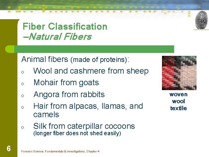 Fiber Classification —Natural Fibers Animal fibers (made of proteins): o Wool and cashmere from