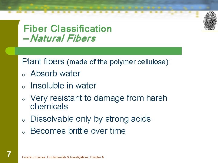 Fiber Classification —Natural Fibers Plant fibers (made of the polymer cellulose): o Absorb water