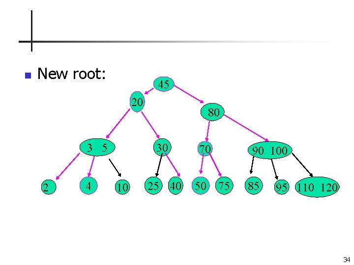 n New root: 45 20 3 5 2 4 80 30 10 25 40