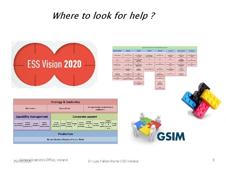 Where to look for help ? Central Statistics Office, Ireland 25/09/2020 Dr Lucy Fallon-Byrne Where to look for help ? Central Statistics Office, Ireland 25/09/2020 Dr Lucy Fallon-Byrne