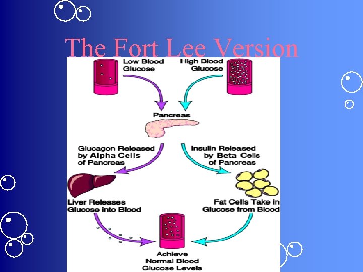 The Fort Lee Version The Fort Lee Version