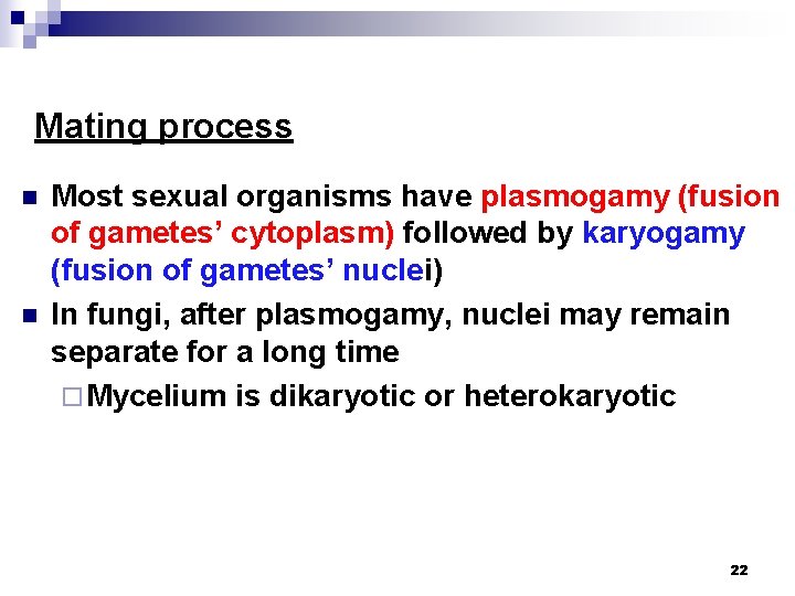 Mating process n n Most sexual organisms have plasmogamy (fusion of gametes’ cytoplasm) followed