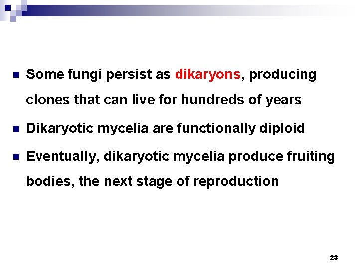 n Some fungi persist as dikaryons, producing clones that can live for hundreds of