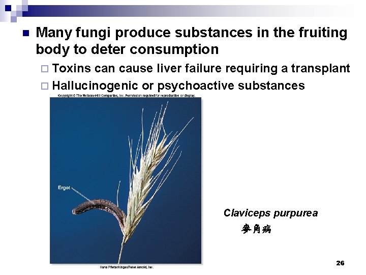 n Many fungi produce substances in the fruiting body to deter consumption ¨ Toxins