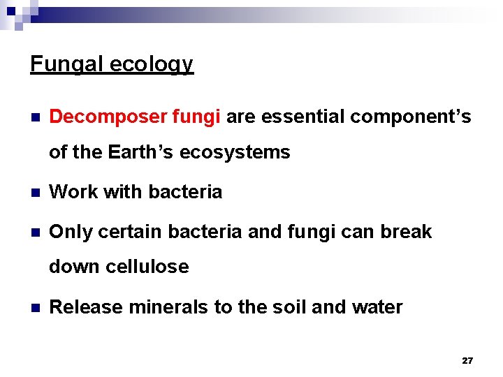 Fungal ecology n Decomposer fungi are essential component’s of the Earth’s ecosystems n Work