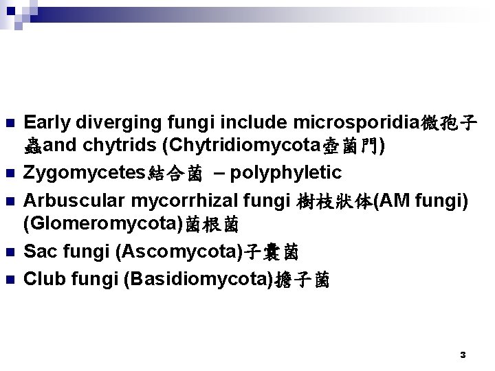n n n Early diverging fungi include microsporidia微孢子 蟲and chytrids (Chytridiomycota壺菌門) Zygomycetes結合菌 – polyphyletic