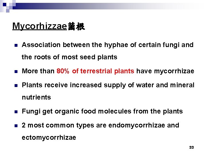 Mycorhizzae菌根 n Association between the hyphae of certain fungi and the roots of most