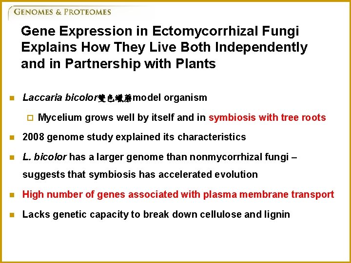 Gene Expression in Ectomycorrhizal Fungi Explains How They Live Both Independently and in Partnership