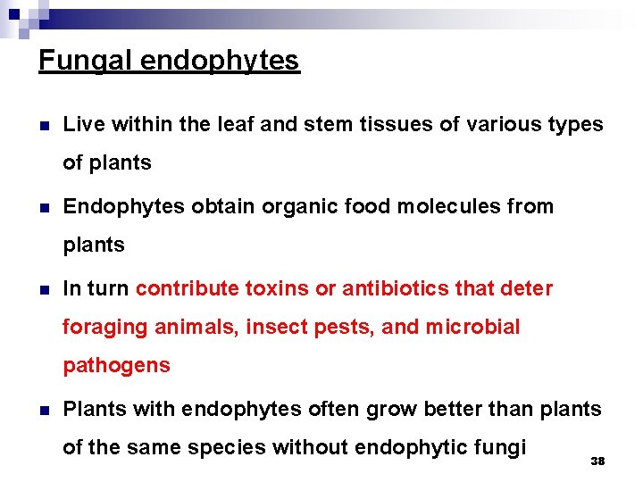Fungal endophytes n Live within the leaf and stem tissues of various types of