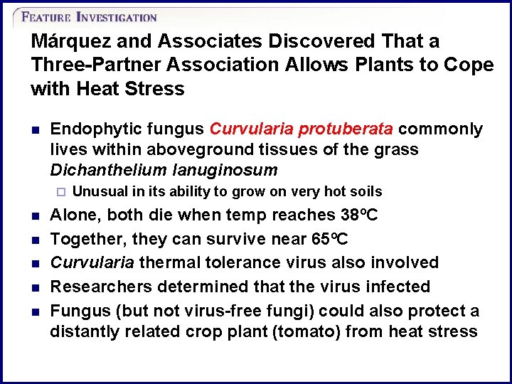 Márquez and Associates Discovered That a Three-Partner Association Allows Plants to Cope with Heat