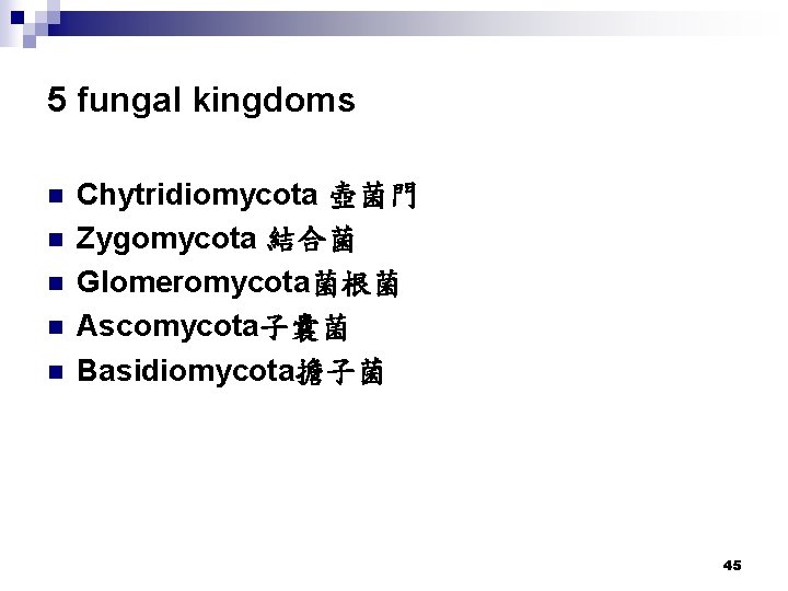 5 fungal kingdoms n n n Chytridiomycota 壺菌門 Zygomycota 結合菌 Glomeromycota菌根菌 Ascomycota子囊菌 Basidiomycota擔子菌 45