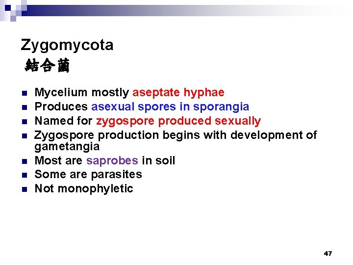 Zygomycota 結合菌 n n n n Mycelium mostly aseptate hyphae Produces asexual spores in