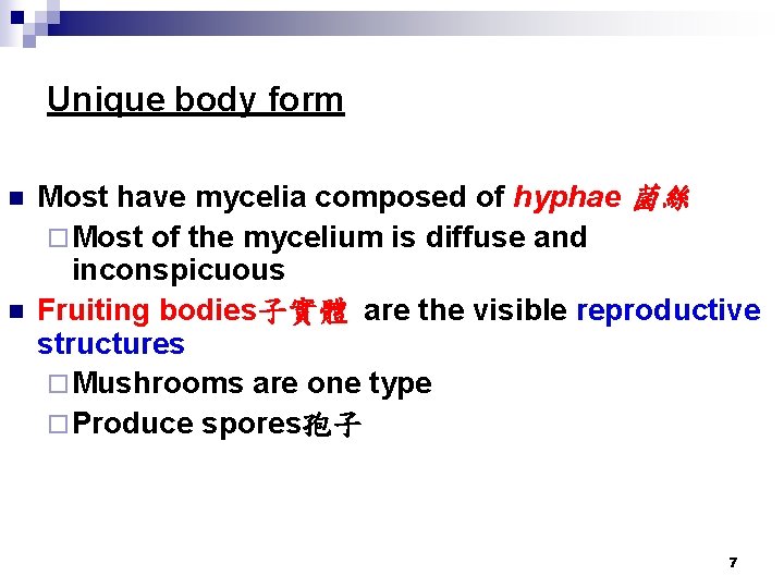 Unique body form n n Most have mycelia composed of hyphae 菌絲 ¨ Most